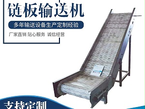 厂家定制小型果蔬输送机 304不锈钢链板提升机宁津卓远
