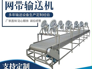 喷淋降温网带输送机