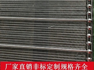 金属清洗机网带