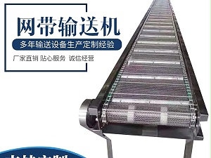 速冻海鲜网带输送机