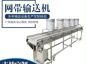 果蔬清洗网带输送机