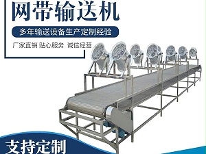 果蔬清洗网带输送机