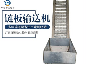 海鲜清洗链板提升机