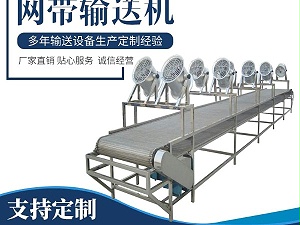 脱水蔬菜清洗输送机