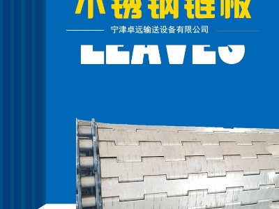清洗机链板-不锈钢冲孔链板