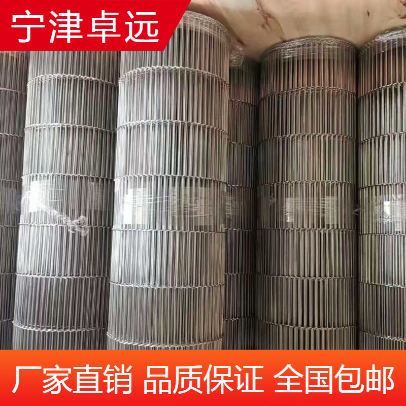 大虾速冻乙型网带--宁津卓远输送设备生产厂家